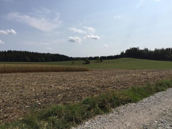 Schlagenhofen nach Ellwang , schlechter Weg.