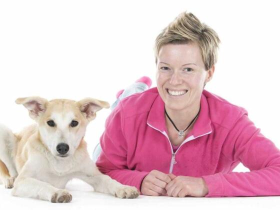 Styling4dogs