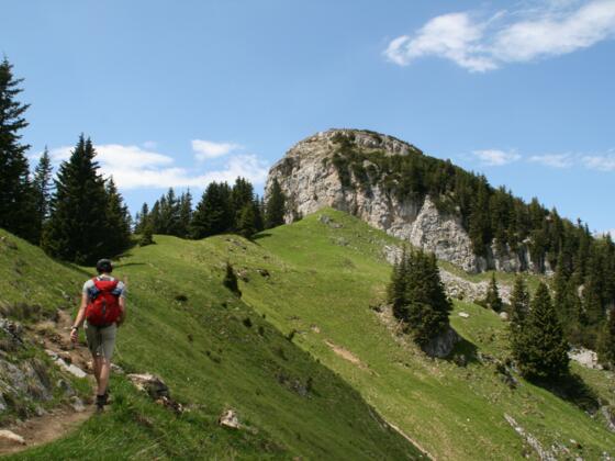Neben den steilen und ausgesetzten Wegabschnitten, bietet die Tour auch sanfte und genussreiche Abschnitte.