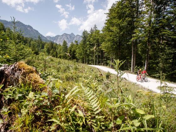 Weißenbachtal bei Bad Goisern