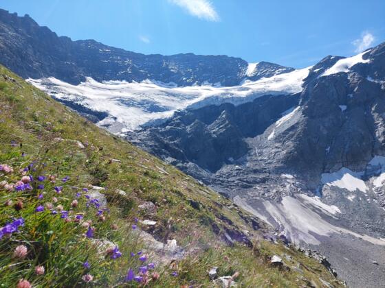 Blick auf den Gletscher (Rifflkees)