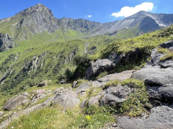 Naturlandschaft am Weg zum Hacklsee