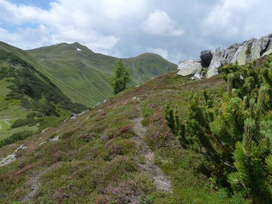 Eine von sanften Gipfeln und Zwergsträuchern umrahmte Bergnatur.