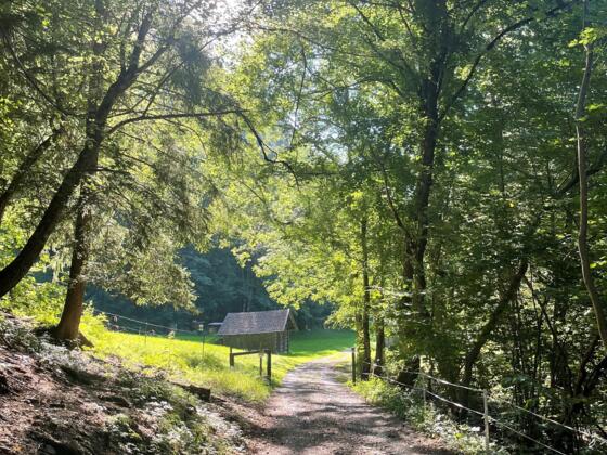 Auf dem Wanderweg Richtung Innerbraz