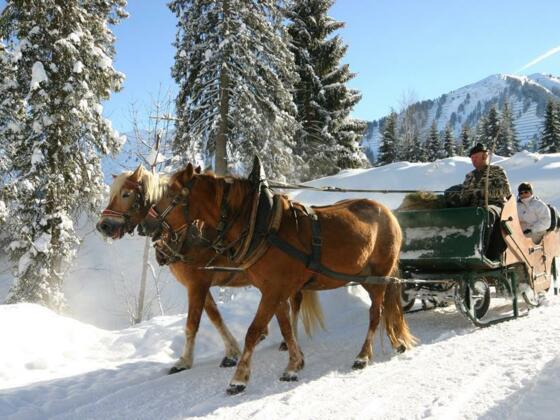 Pferdeschlittenfahrten Otto Berwanger Riezlern