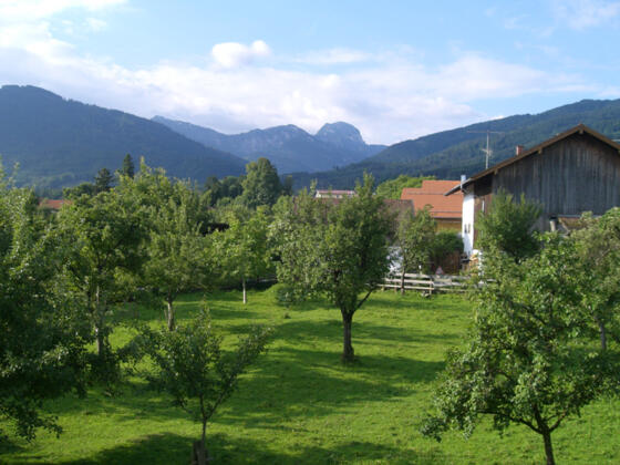 Obstgarten