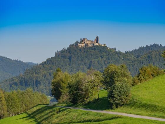 JohanneswegLandschaftBurgruineRuttenstein02_TVBMuehlviertlerAlmFreistadtWalchAndreasPhotography.jpg