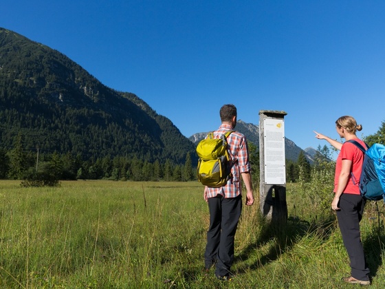 Meditationsweg Ammergauer Alpen - bei den kleinen Ammerquellen