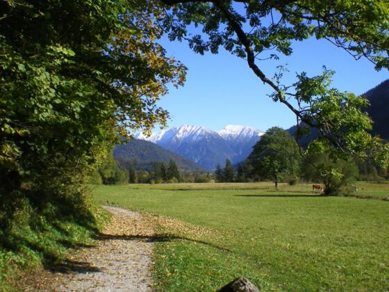 Wanderung - Sonnenweg - im Weidmoos