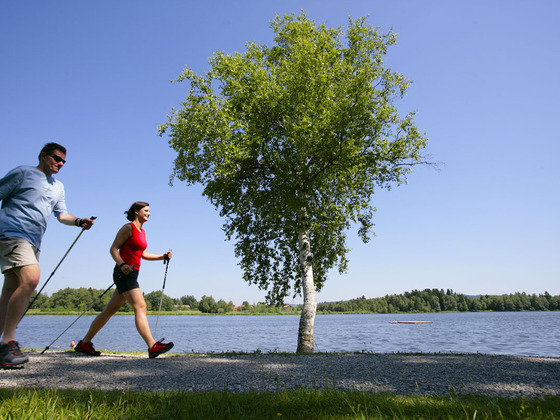 Nordic Walking Geizenmoos-Trail - am Soier See