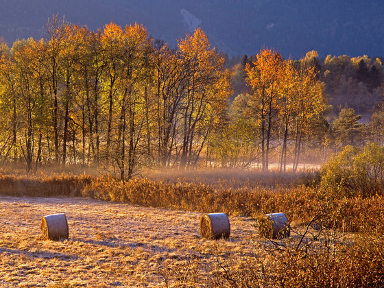 Radtour - Durchs Murnauer Moos - Herbststimmung im Moos