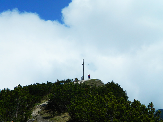 Karkopf