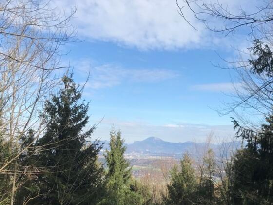 Terrainkurweg Bergblumengarten Piding