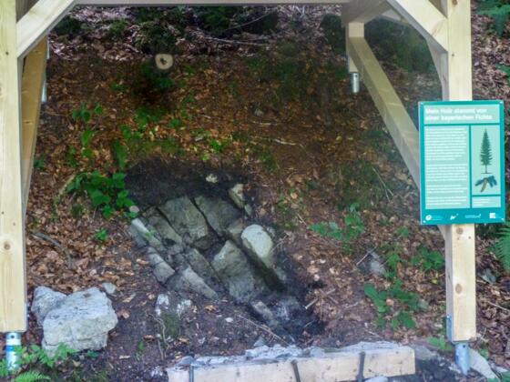 bodenerlebnispfad016