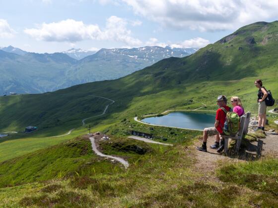 Schlossalm - Schlossalmsee