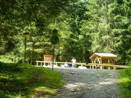 bodenerlebnispfad022