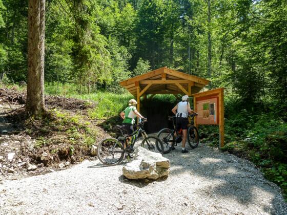 bodenerlebnispfad013