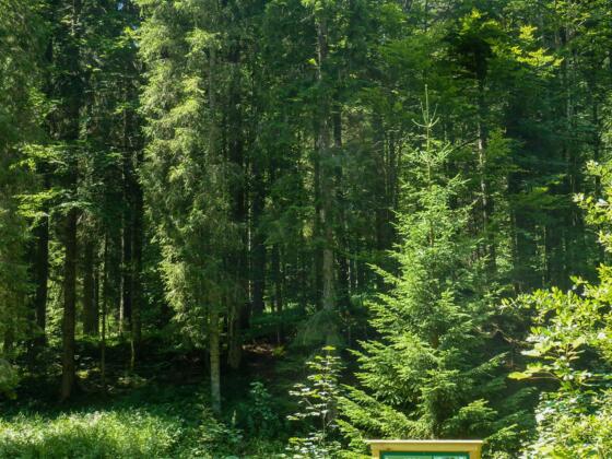 bodenerlebnispfad020