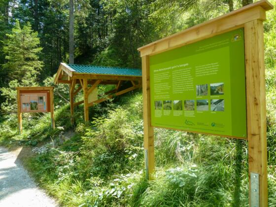 bodenerlebnispfad017