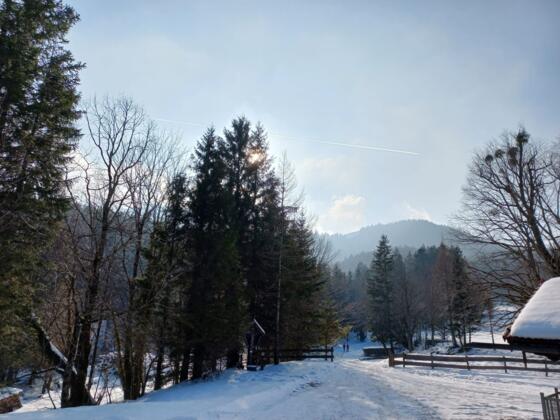 Ausblick von der Schlipfgrubalm im Winter
