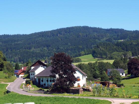 Traberg 953 m, Höf im Vordergrund