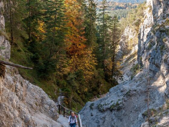 Durch die Hüttlebachklamm
