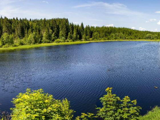 Rubener Teich beim Tannermoor