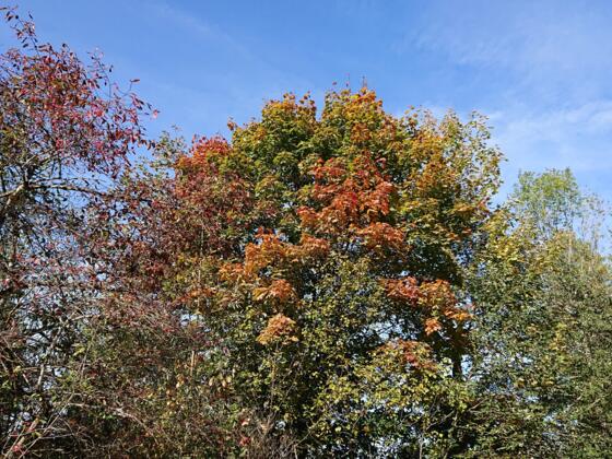 Naturschauspiel_14_1