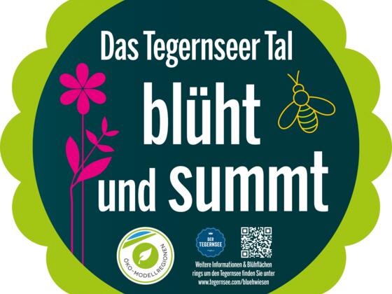 Blühwiesen im Tegernseer Tal