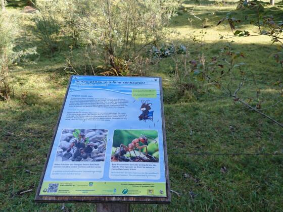 Naturschaupiel_Kreuth_3_1