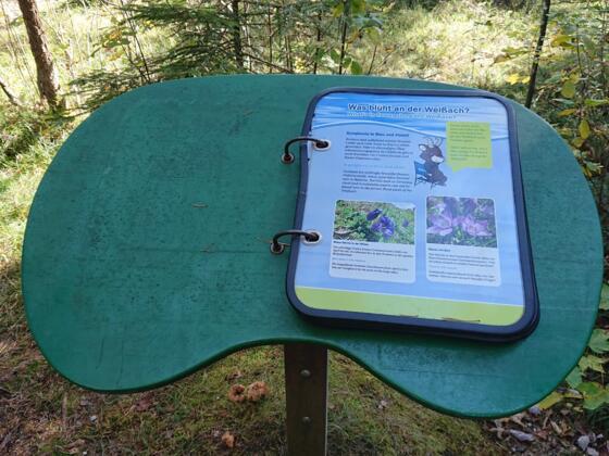 Naturschauspiel_Kreuth_7_4