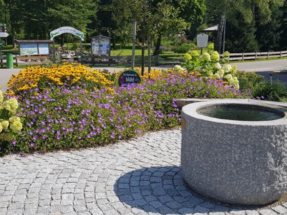 Blühwiese am Trinkbrunnen in Kreuth