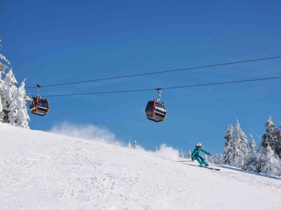 HochfichtWinterSkifahrerinAbfahrtGondelbahn_OberoesterreichTourismusGmbHStefanMayerhofer