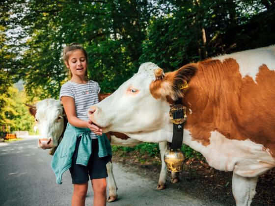 Naturschauspiel Kreut_13_2