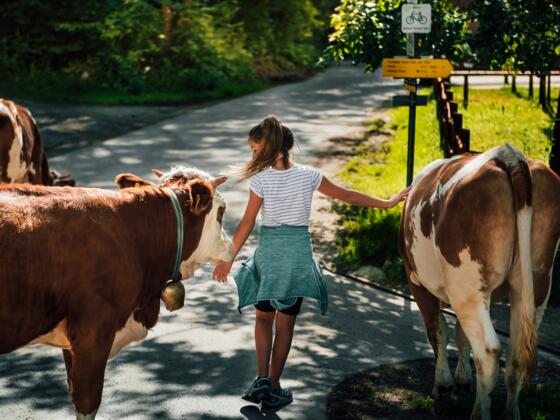 Naturschauspiel_Kreuth_11_4