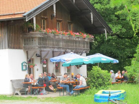 Schlipfgrubalm