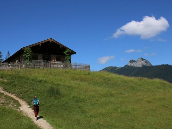 Geißalm (Im Hintergrund Ross- und Buchstein)