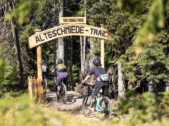 Einfahrtsportal AlteSchmiede Trail
