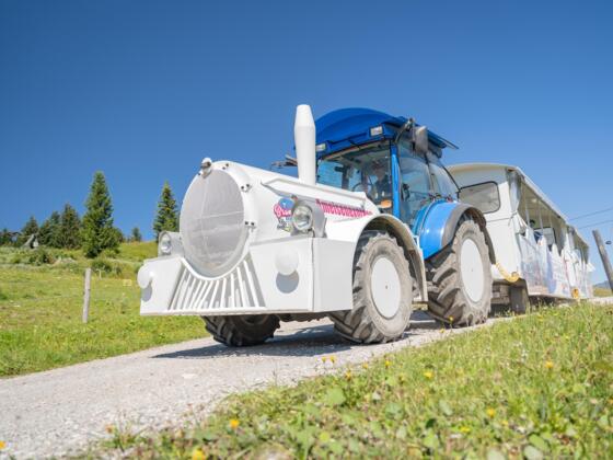 Bummelzug
