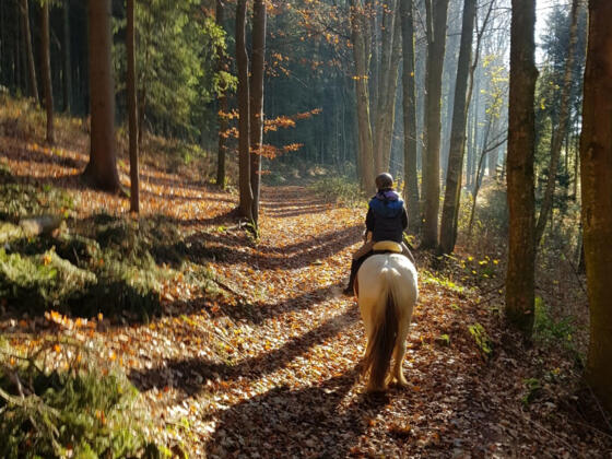 M4Hochland_Trailritt