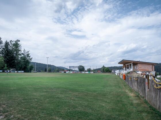 Viehbergarena in Sandl