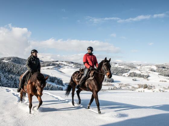 WinterlandschaftWanderreiter03_PferdereichMuehlviertlerAlmErber.jpg