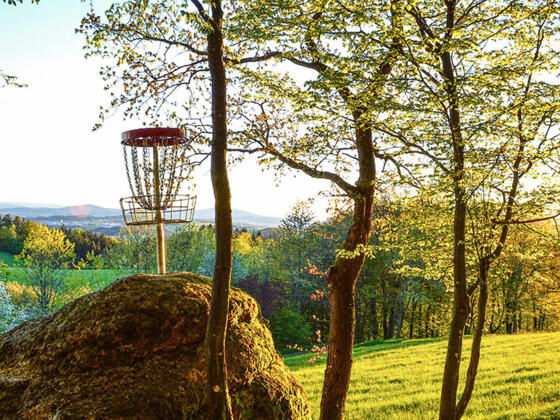 Discgolfkorb auf einem Granitstein