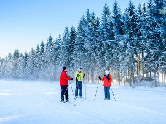 Langlaufen Mühlviertler Alm