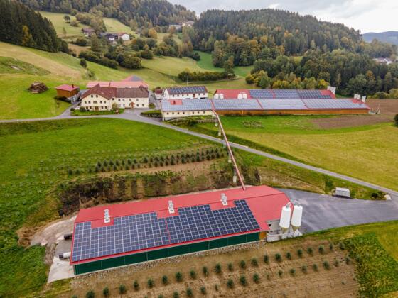 Luftaufnahme Eierhof und Teigwaren Holzmann