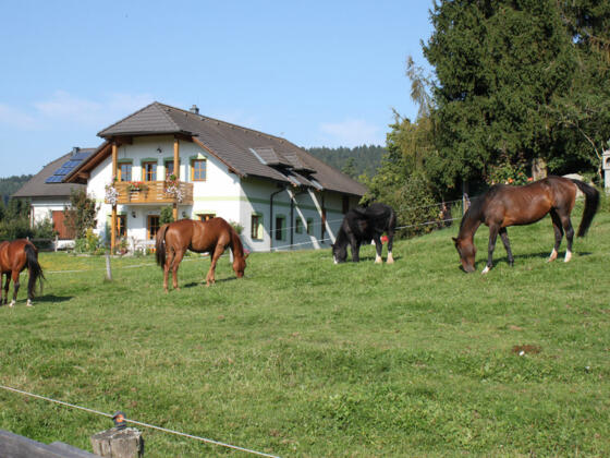Reiterhof Hennerbichler