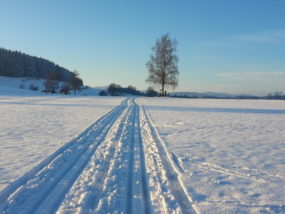 Langlaufen Hirschbach
