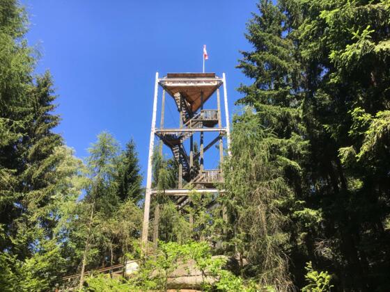 Aussichtswarte- Gemeinde Rechberg