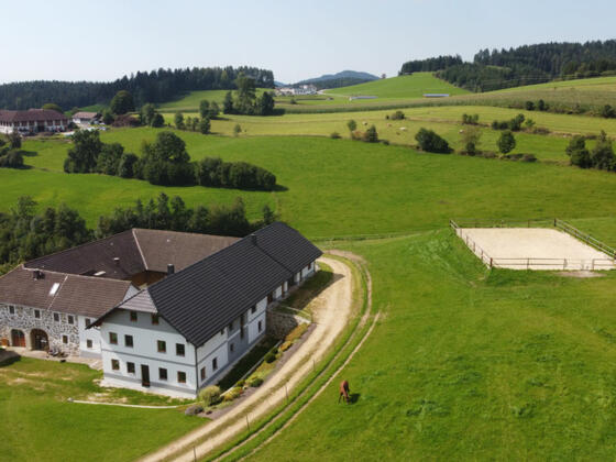 Biohof Dörflinger - Hausansicht