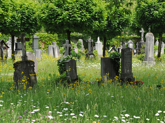 Der alte Friedhof Laufen
